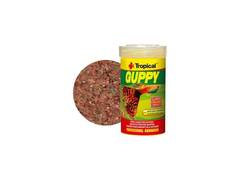 Tropical - Guppy