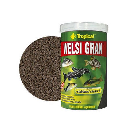 Tropical - Welsi Gran