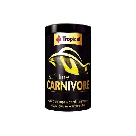 Tropical - Soft Line Africa Carnivore