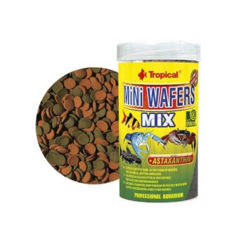 Tropical - Mini Wafers Mix