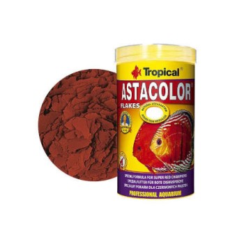 Tropical - Astacolor