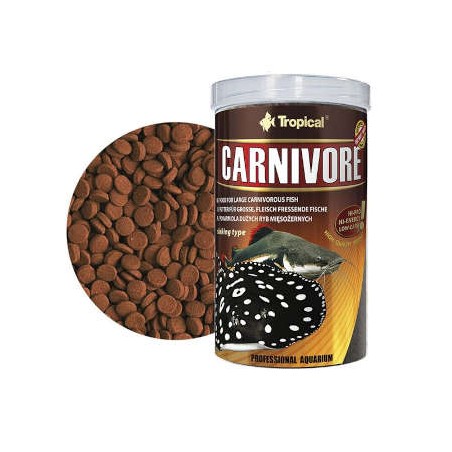 Tropical - Carnivore