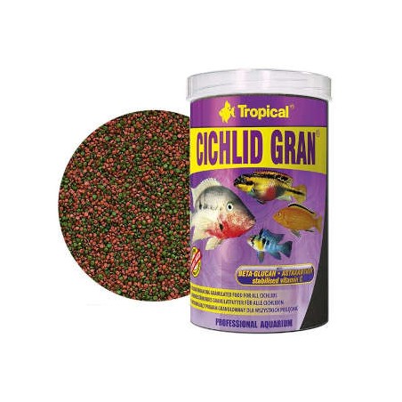 Tropical - Cichlid Gran