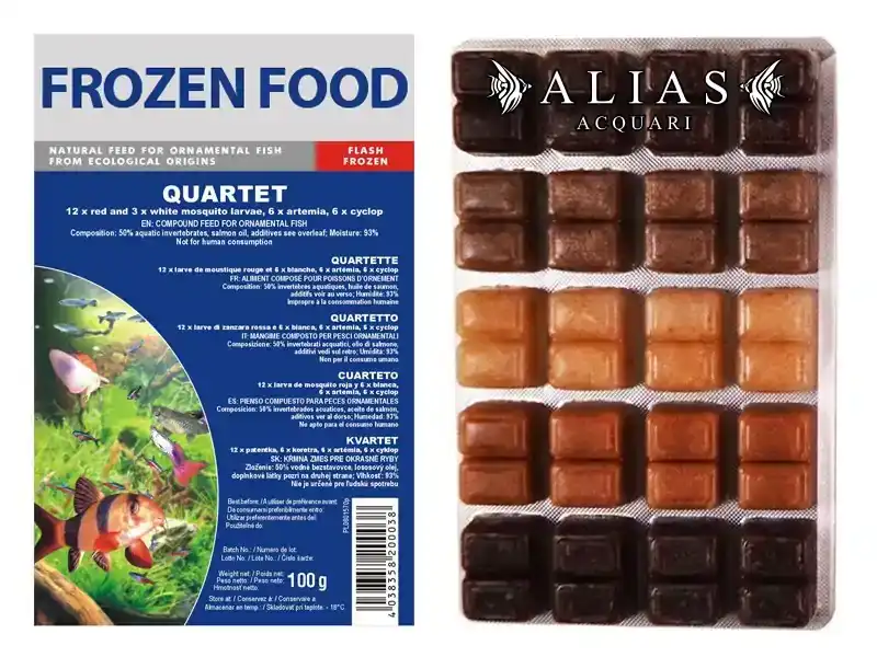 Quartet Frozen blister da 100 g