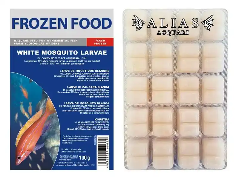 White Mosquito Larvae Frozen blister da 100 g
