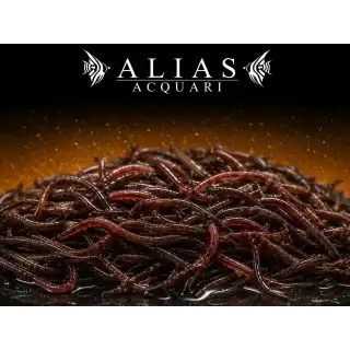 California Blackworms