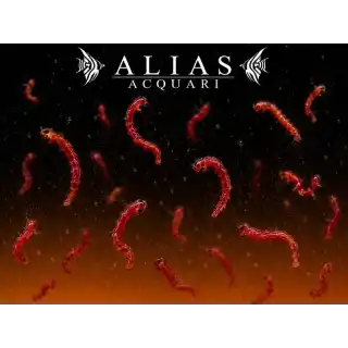 Red Mosquito Larvae (Bloodworms)