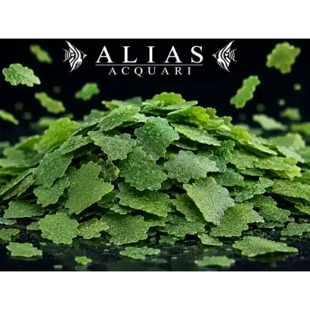 Flake Food con Spirulina