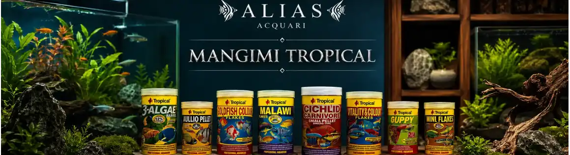 Mangimi Tropical