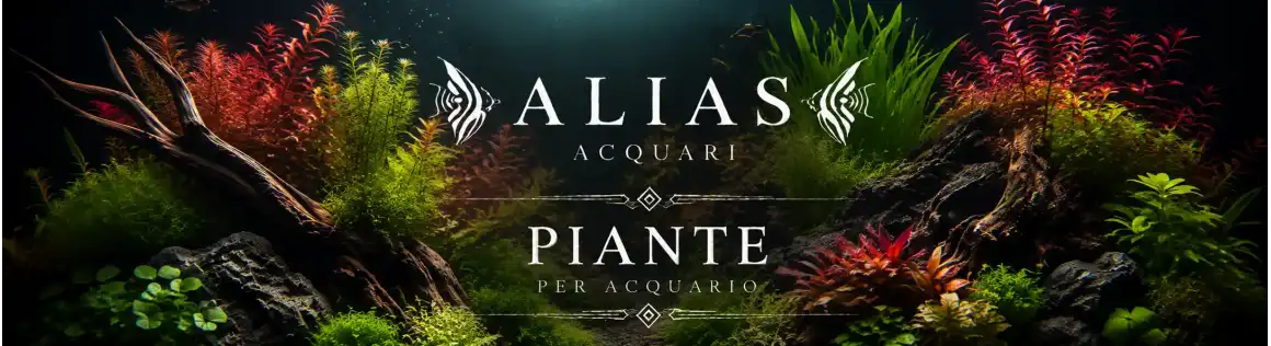 Piante per Acquario