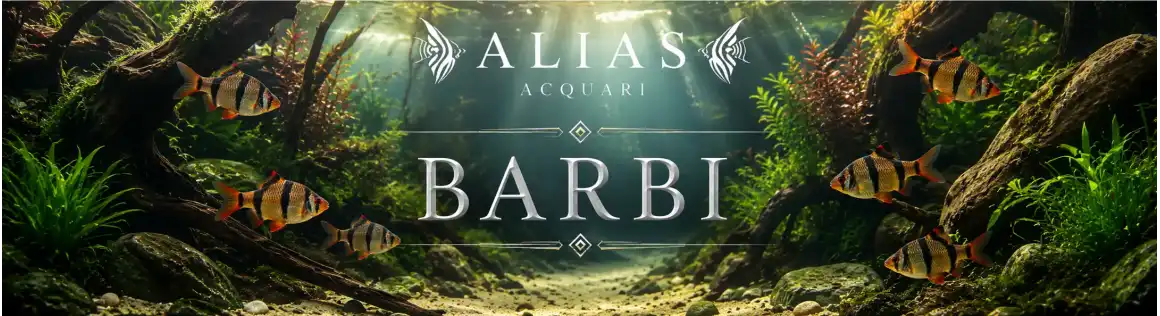 Barbi