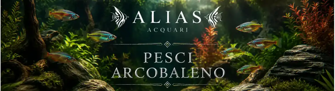 Pesci arcobaleno