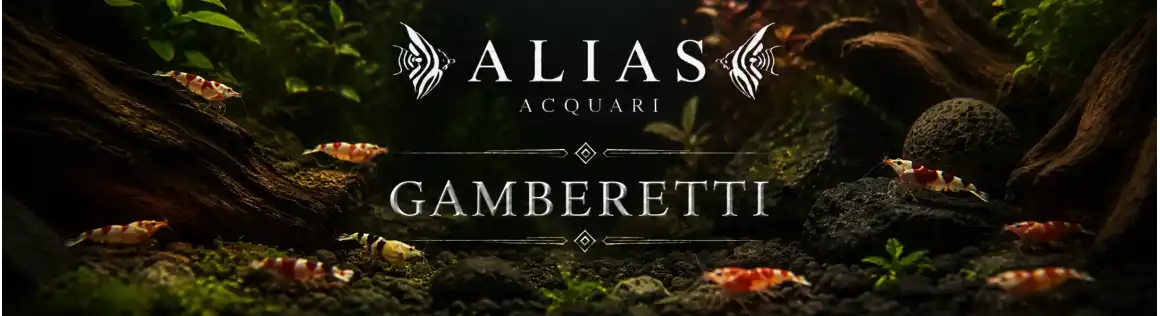 Gamberetti
