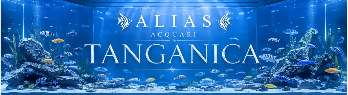 Ciclidi Tanganica
