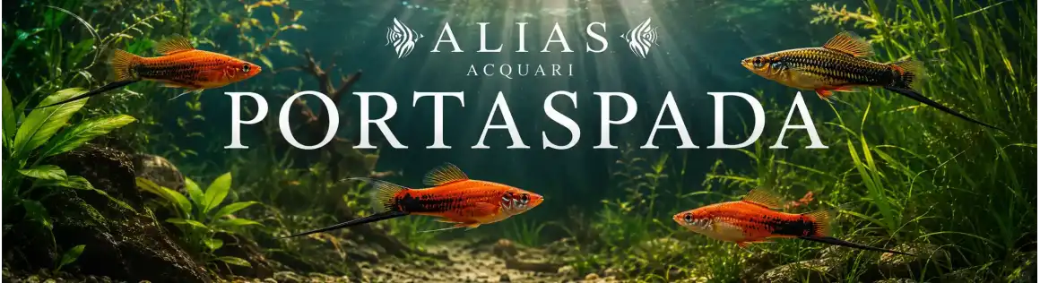 Portaspada