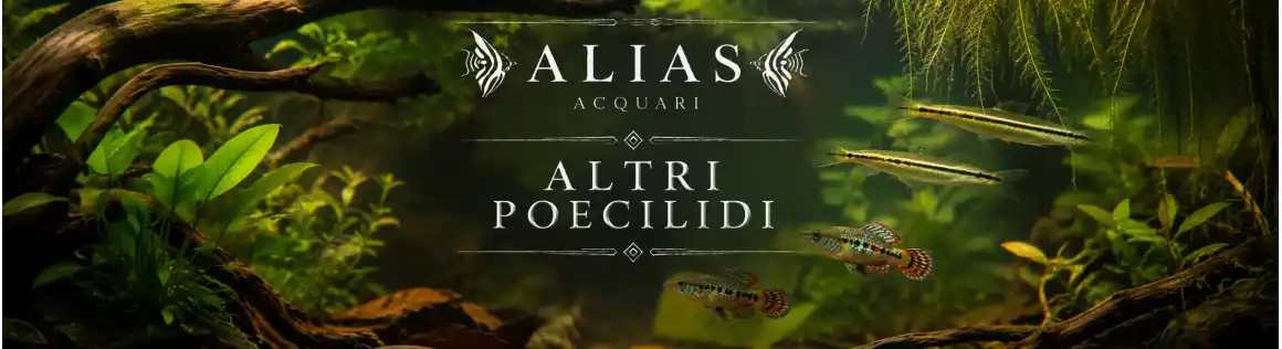 Altri