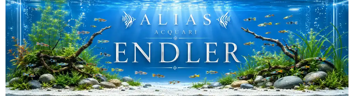 Endler